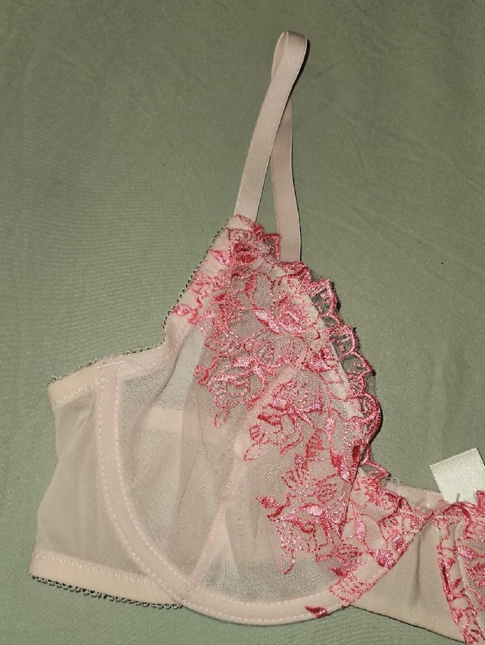 Jessica Simpson Sheer Lace Underwire Bra - Pink Embroidery - Picture 2 of 4